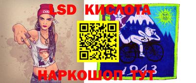 амф Гусев