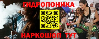амф Гусев