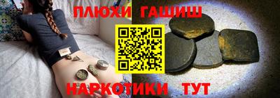 амф Гусев