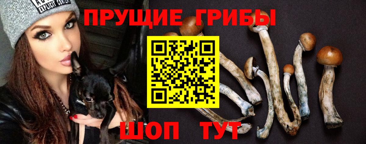 Галлюциногенные грибы ЛСД  Псилоцибиновые грибы мицелий  Мурманск  Вход с VPN 