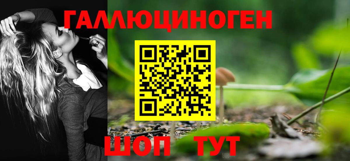 Псилоцибиновые грибы Psilocybine cubensis Мурманск
